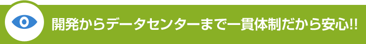 開発からデータセンターまで一貫体制だから安心！！