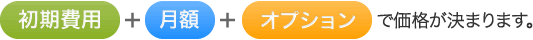 初期費用+月額必要+オプションで価格が決まります。